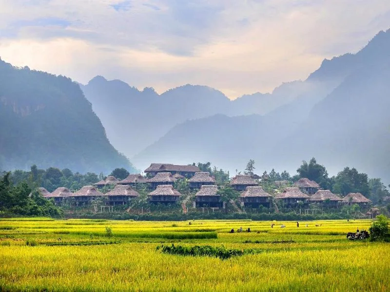 Top 10 Địa Điểm Check-in Mai Châu Đẹp Xuất Thần Không Thể Bỏ Qua - Đặc sản và điểm đến du lịch nổi tiếng tại Mai Châu