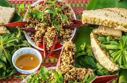 Cách Chế Biến Nhộng Ong Rừng Xào Măng Chua Mai Châu | Nhà Hàng Hợp Thủy - Đặc sản và điểm đến du lịch nổi tiếng tại Mai Châu