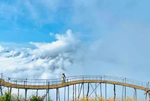 Săn mây Hang Kia - Pà Cò